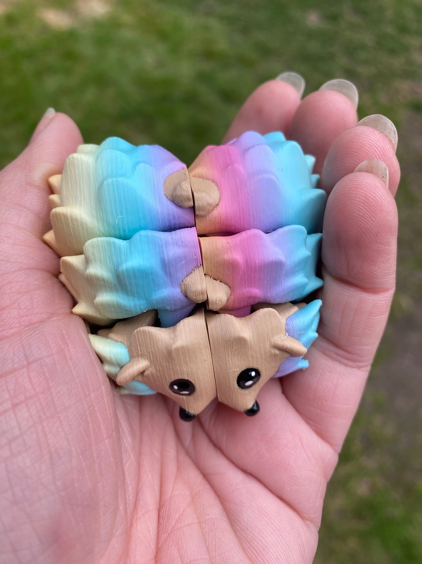 Hedgehog Pocket Pal