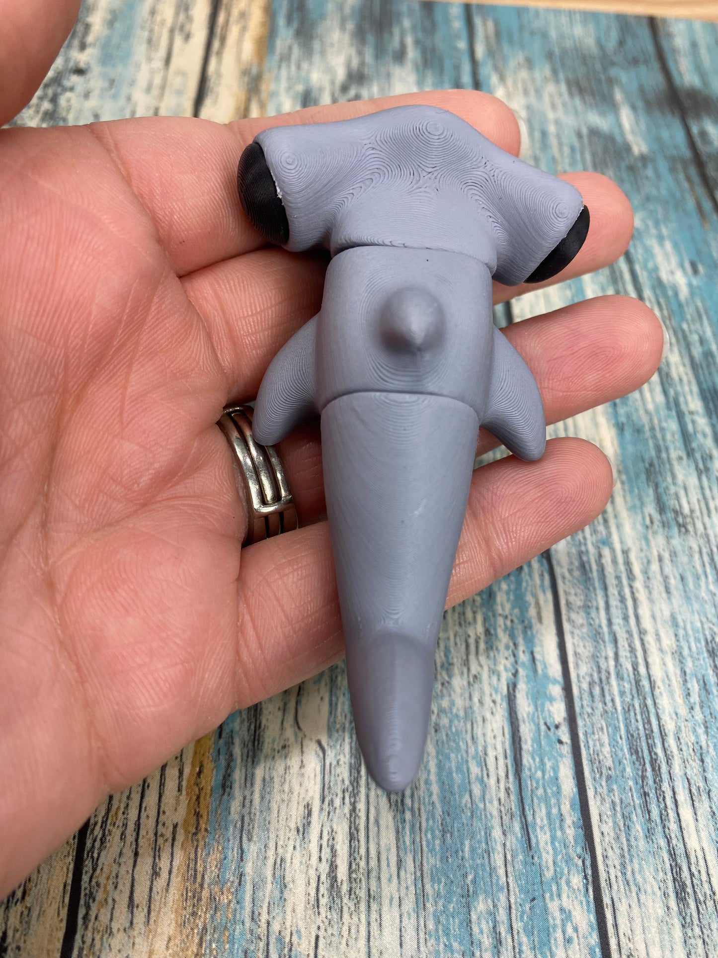 Hammerhead Shark