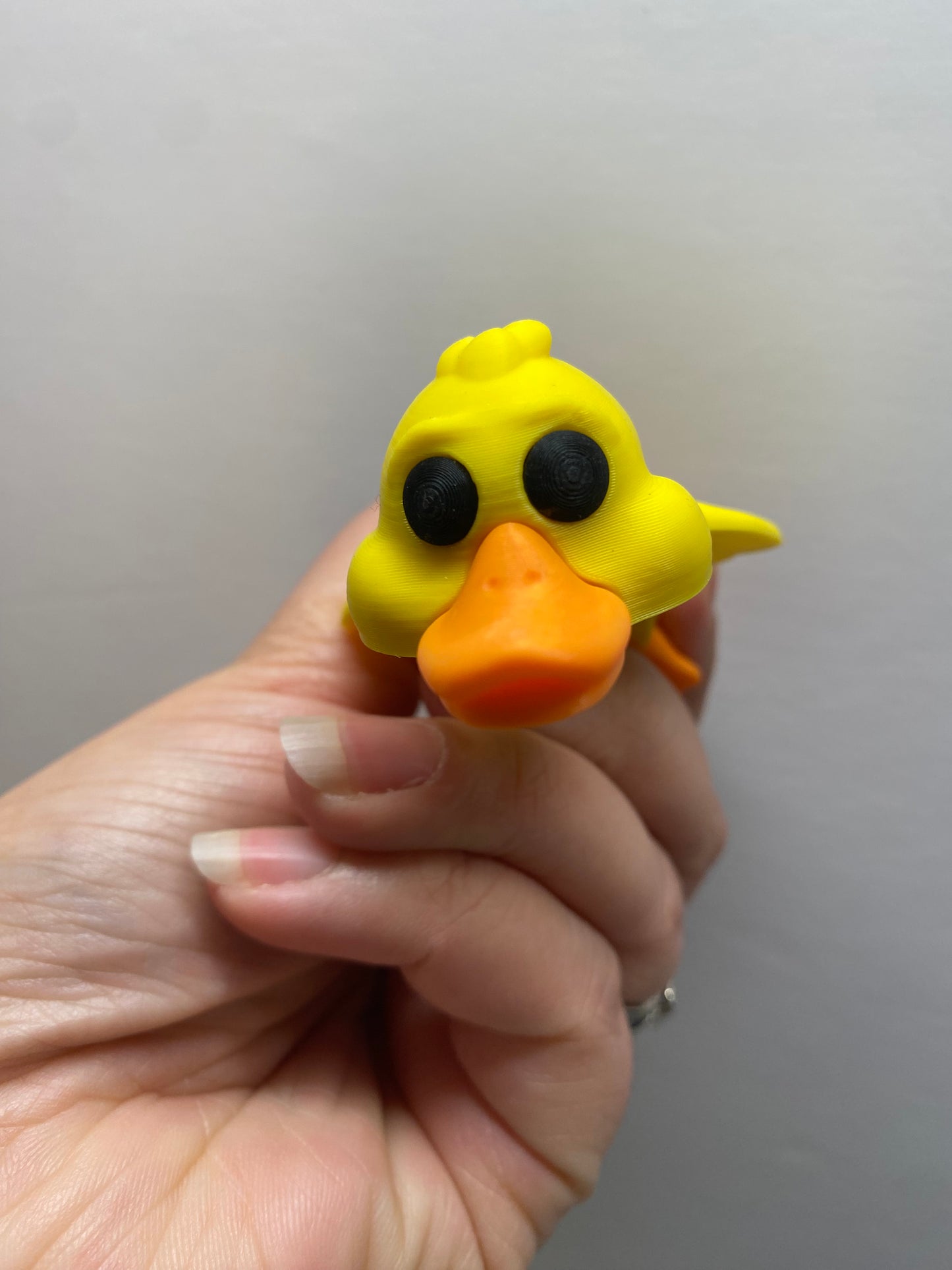Duck Pocket Pal