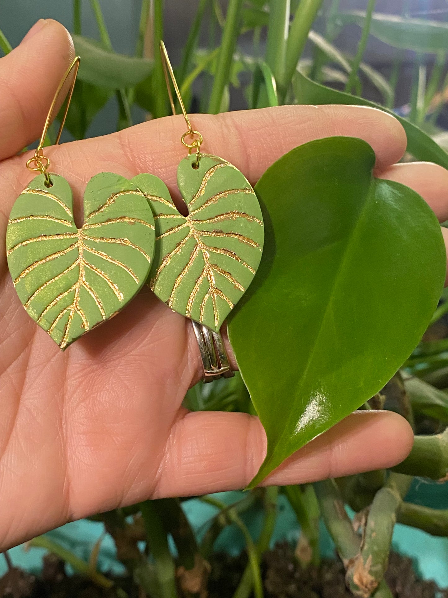 The George Collection - Philodendron