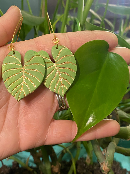 The George Collection - Philodendron