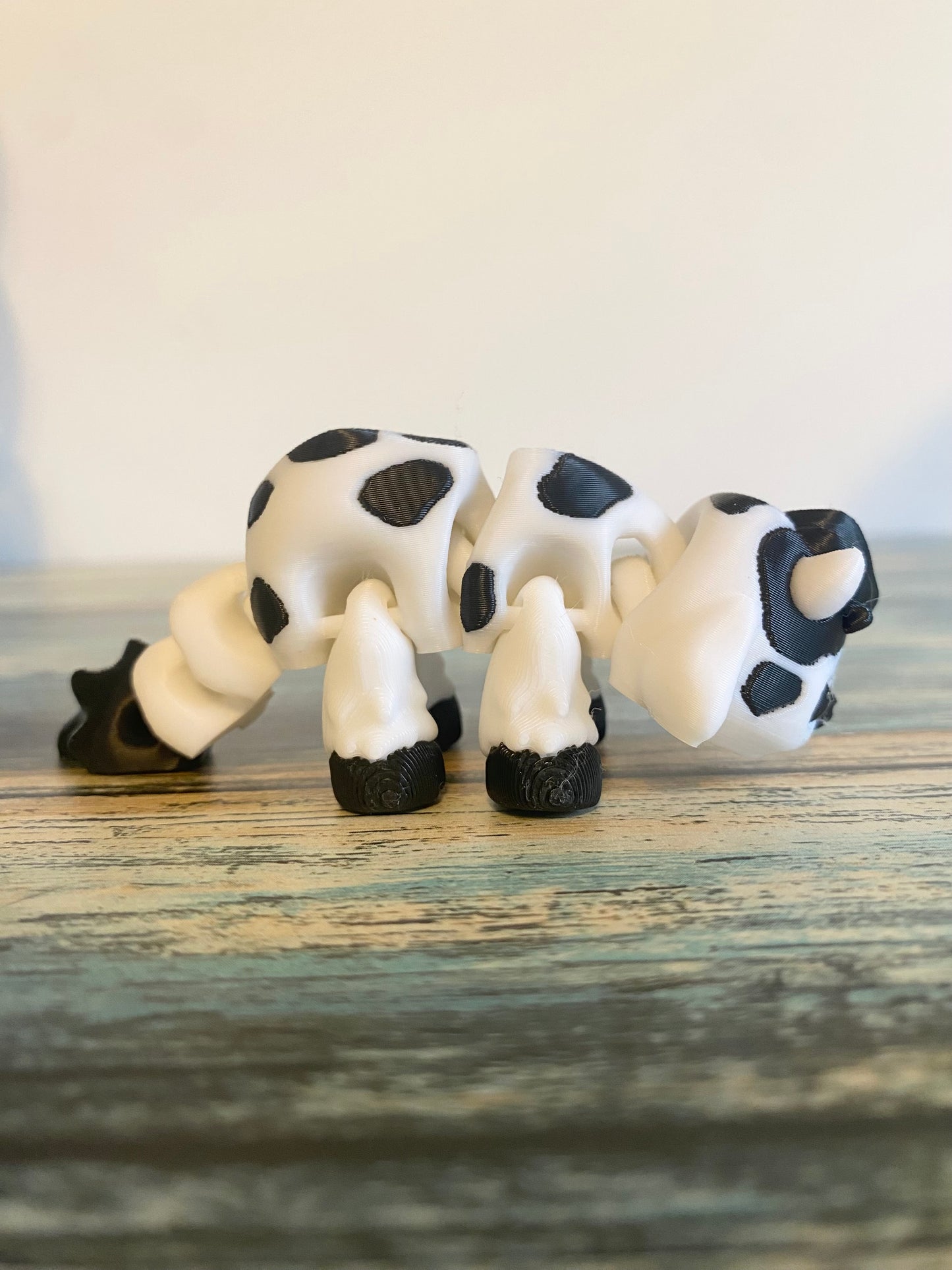 Black and White Cow