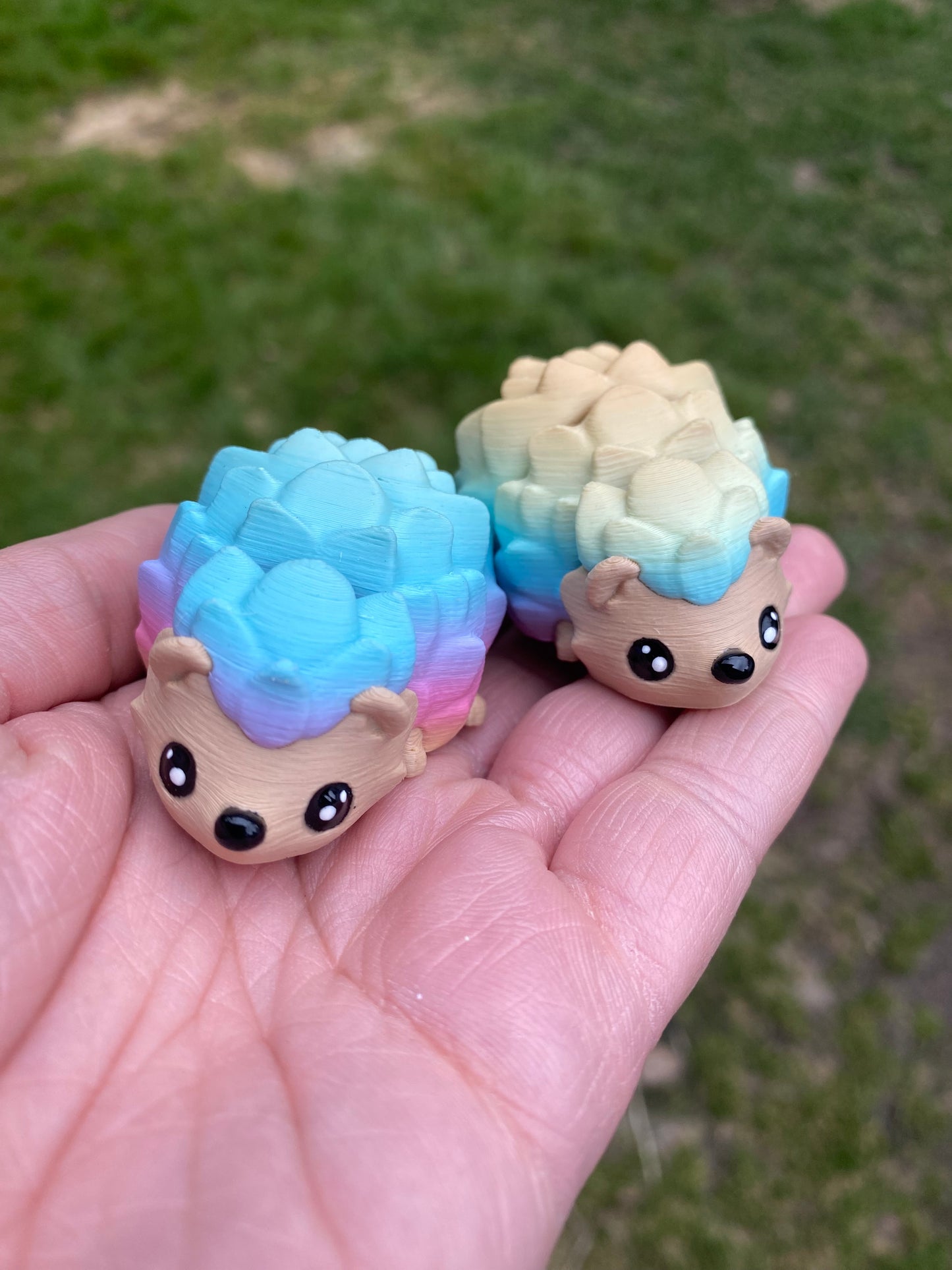 Hedgehog Pocket Pal