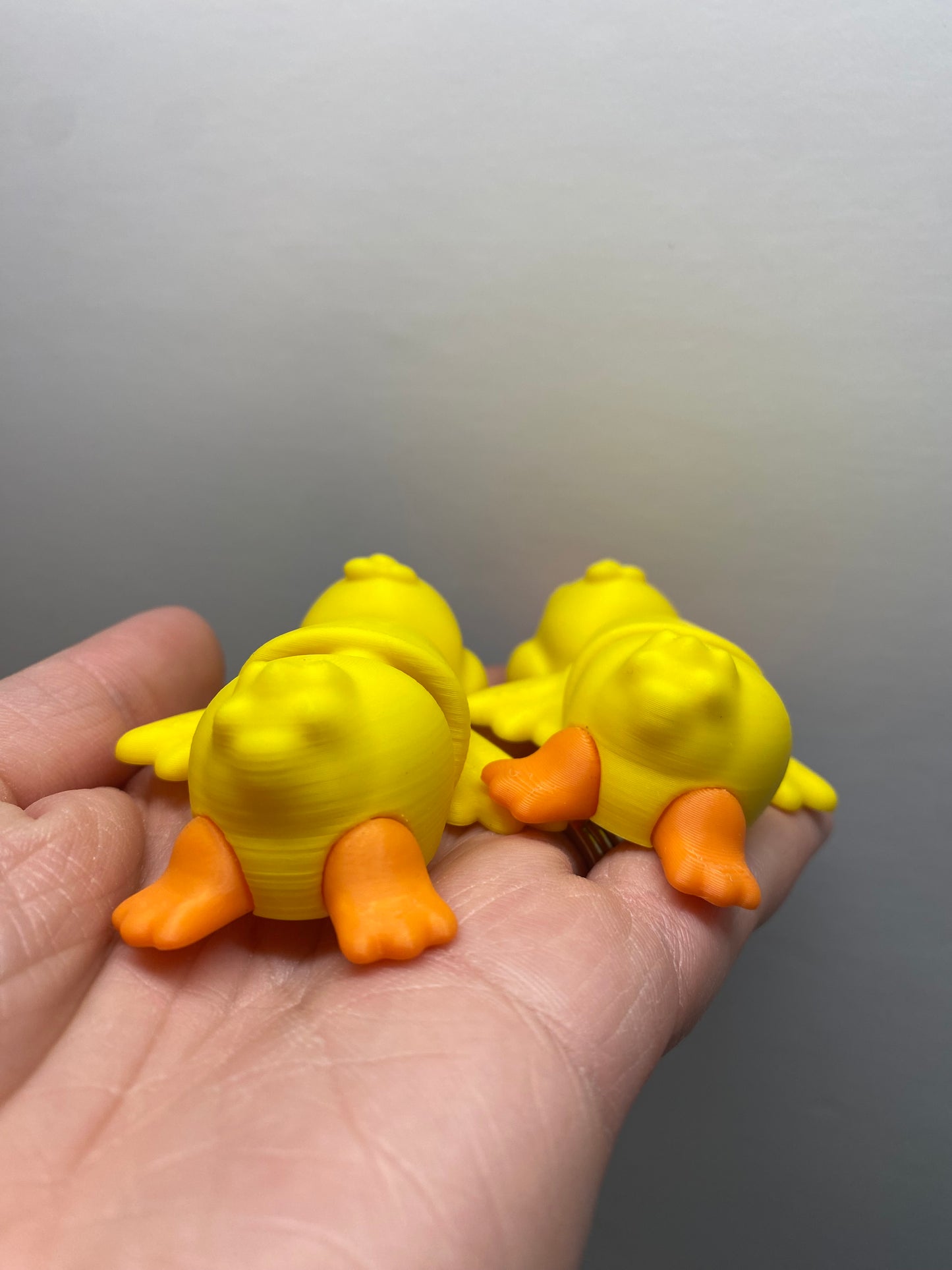 Duck Pocket Pal