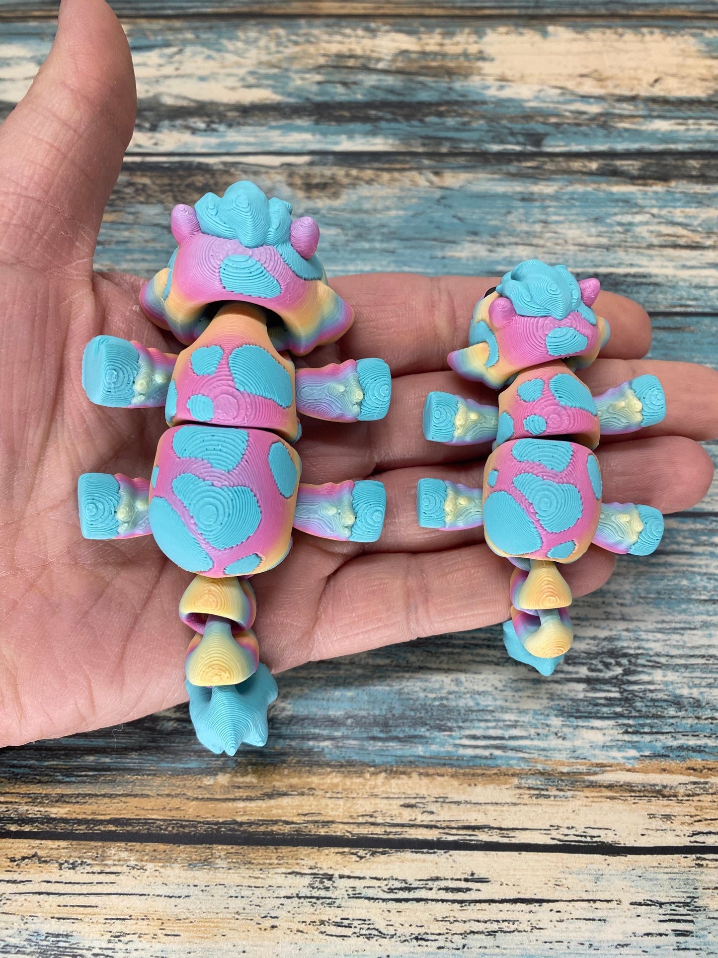 Rainbow Cow Pocket Pals