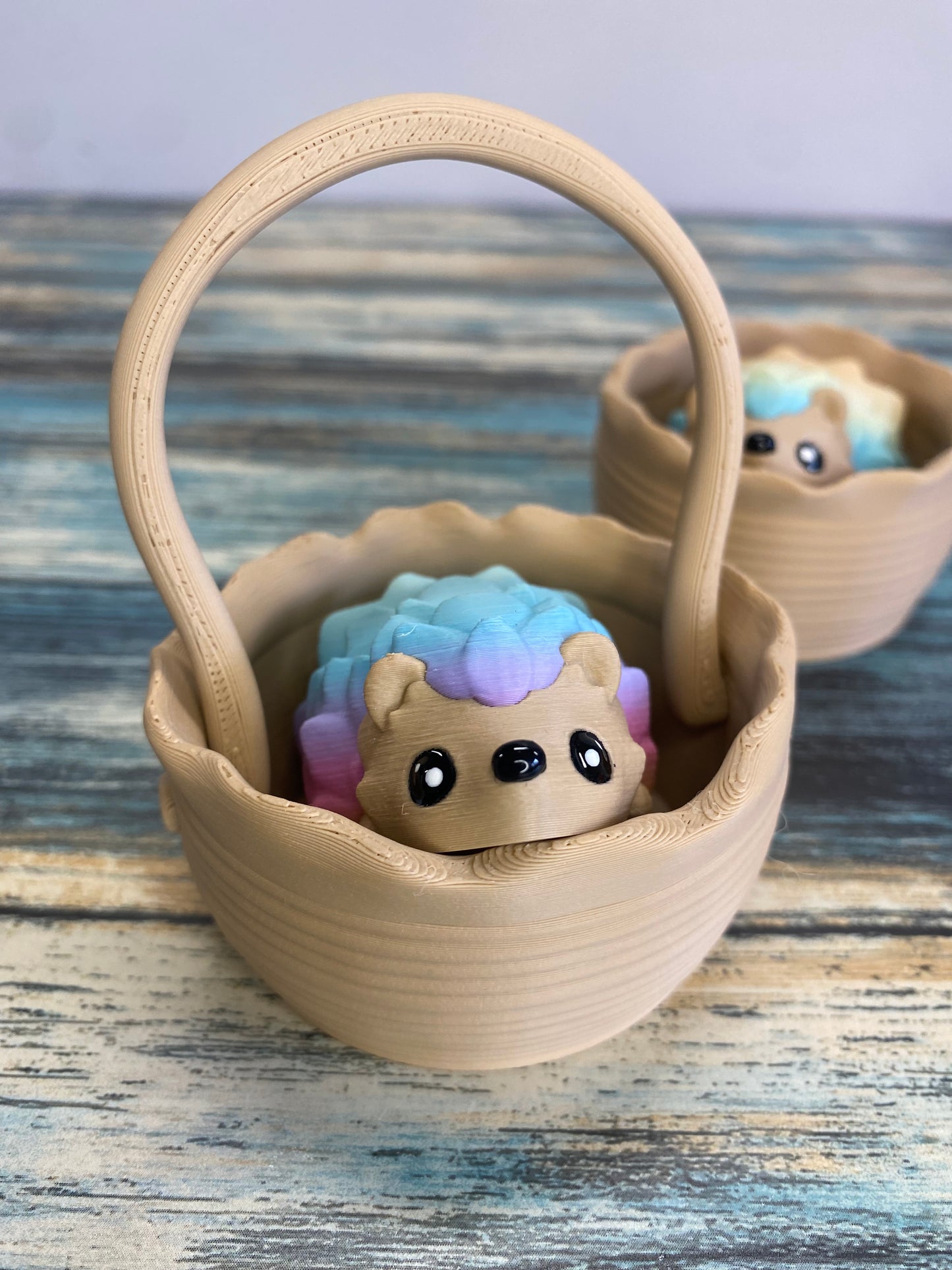 Basket for Pocket Pals