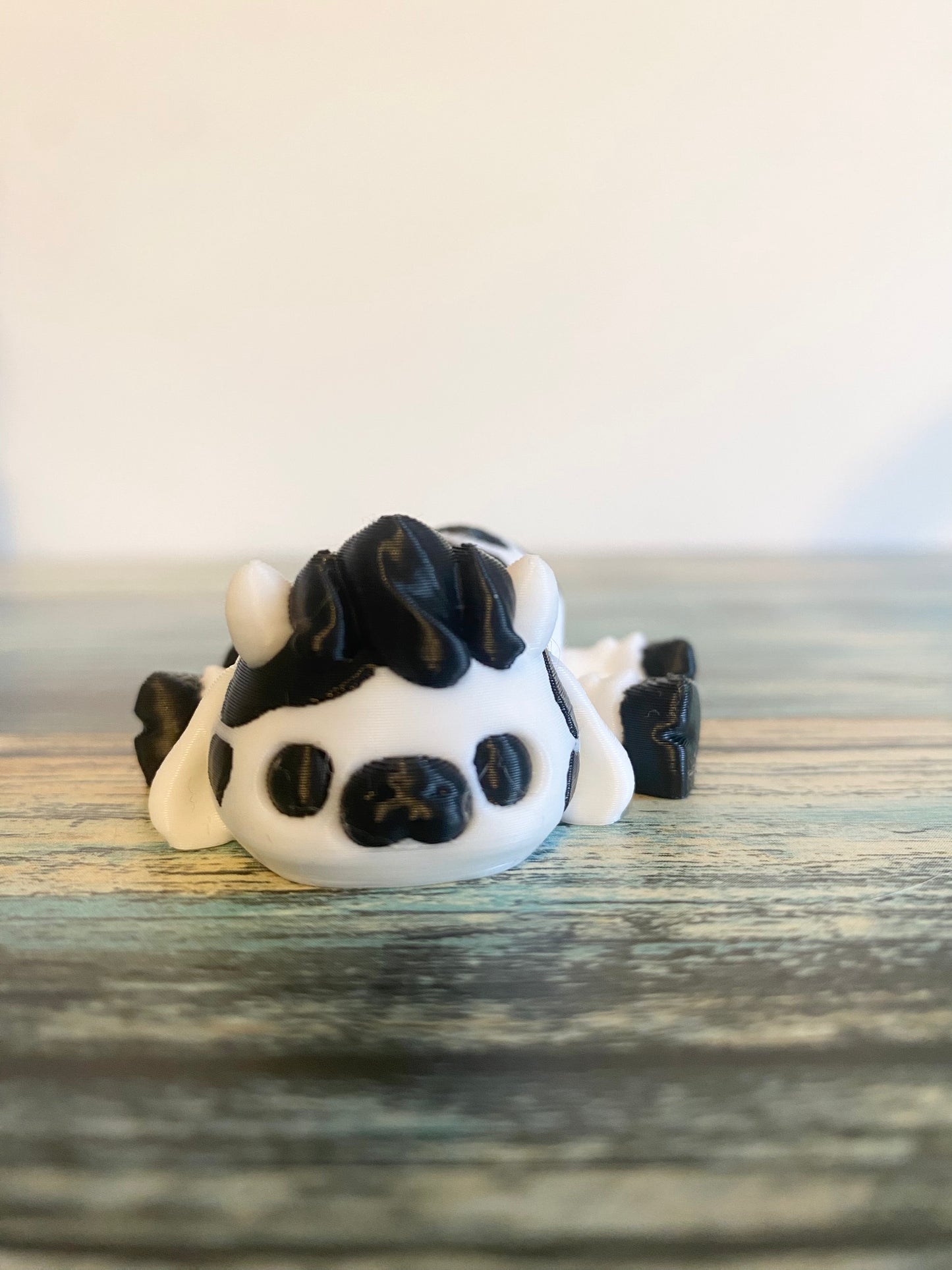 Black and White Cow