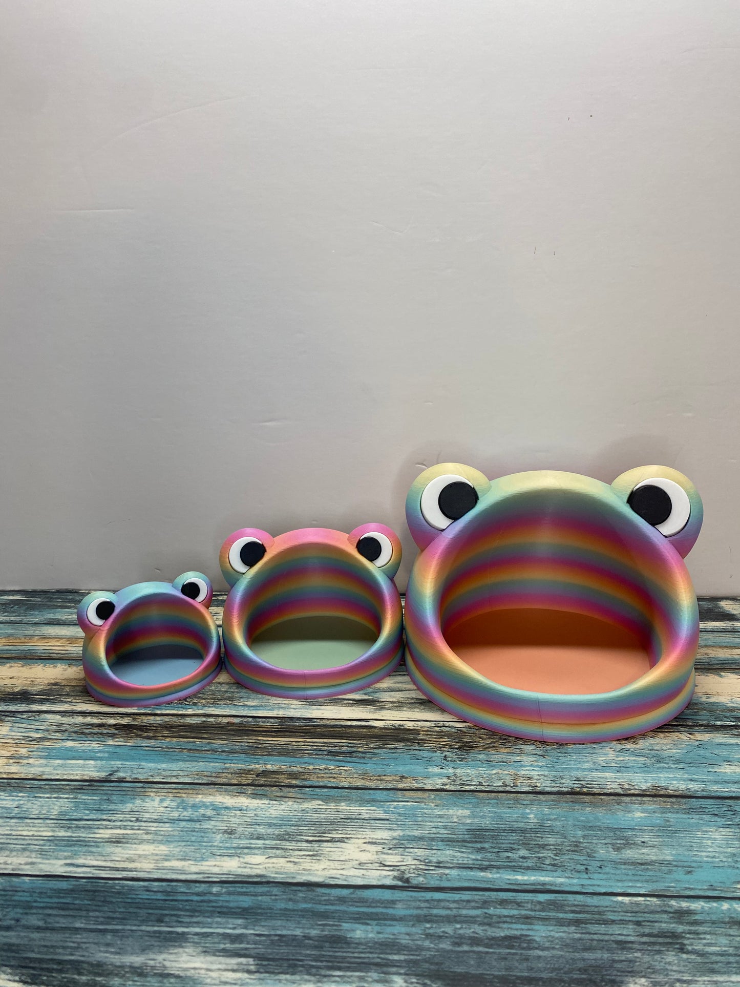 Frog Catch All