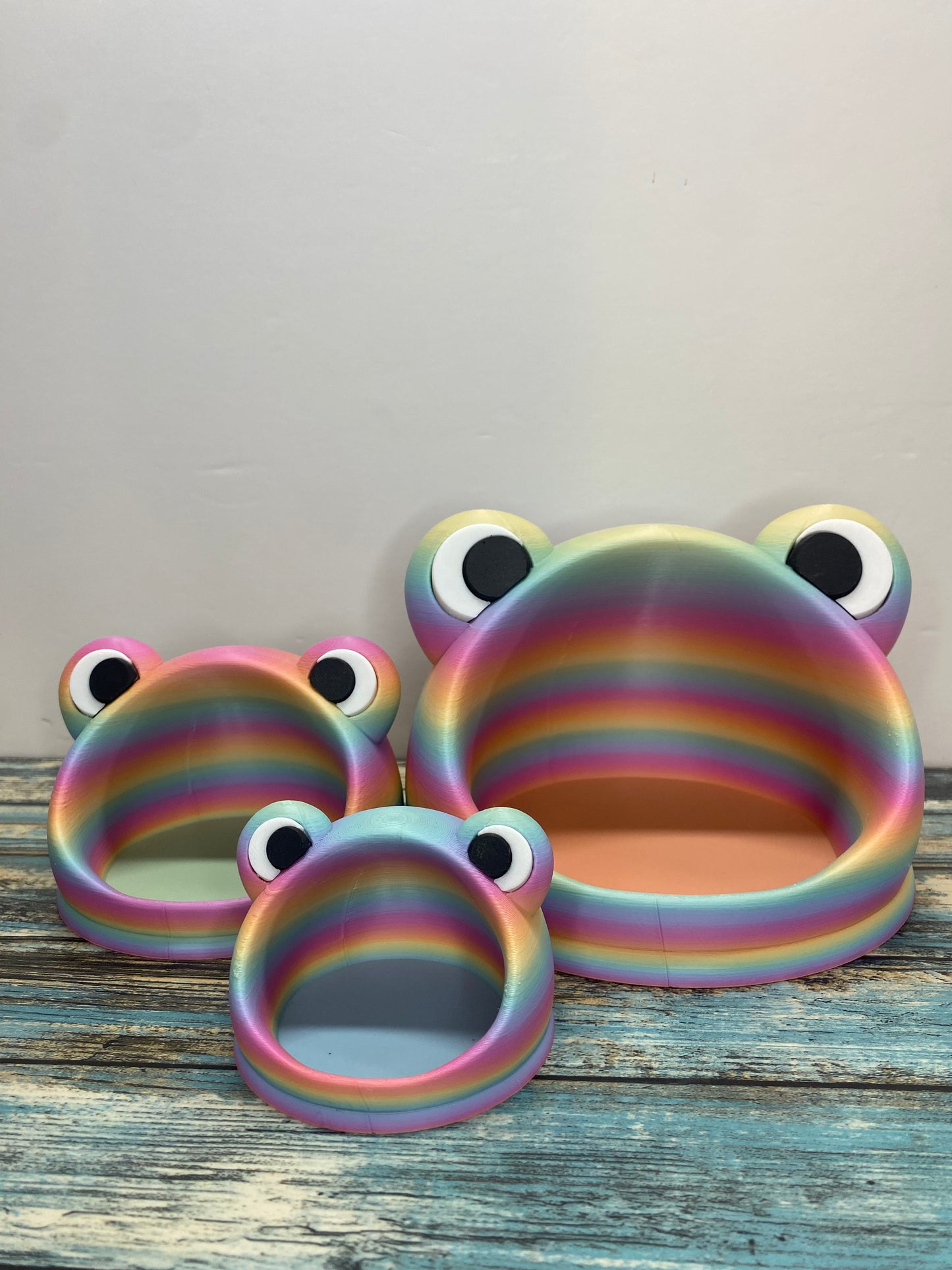 Frog Catch All