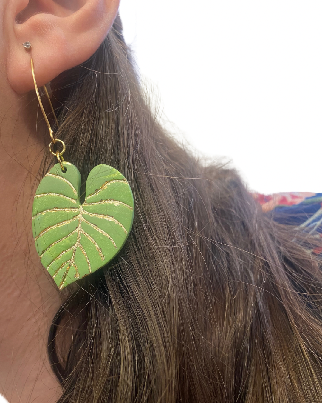 The George Collection - Philodendron