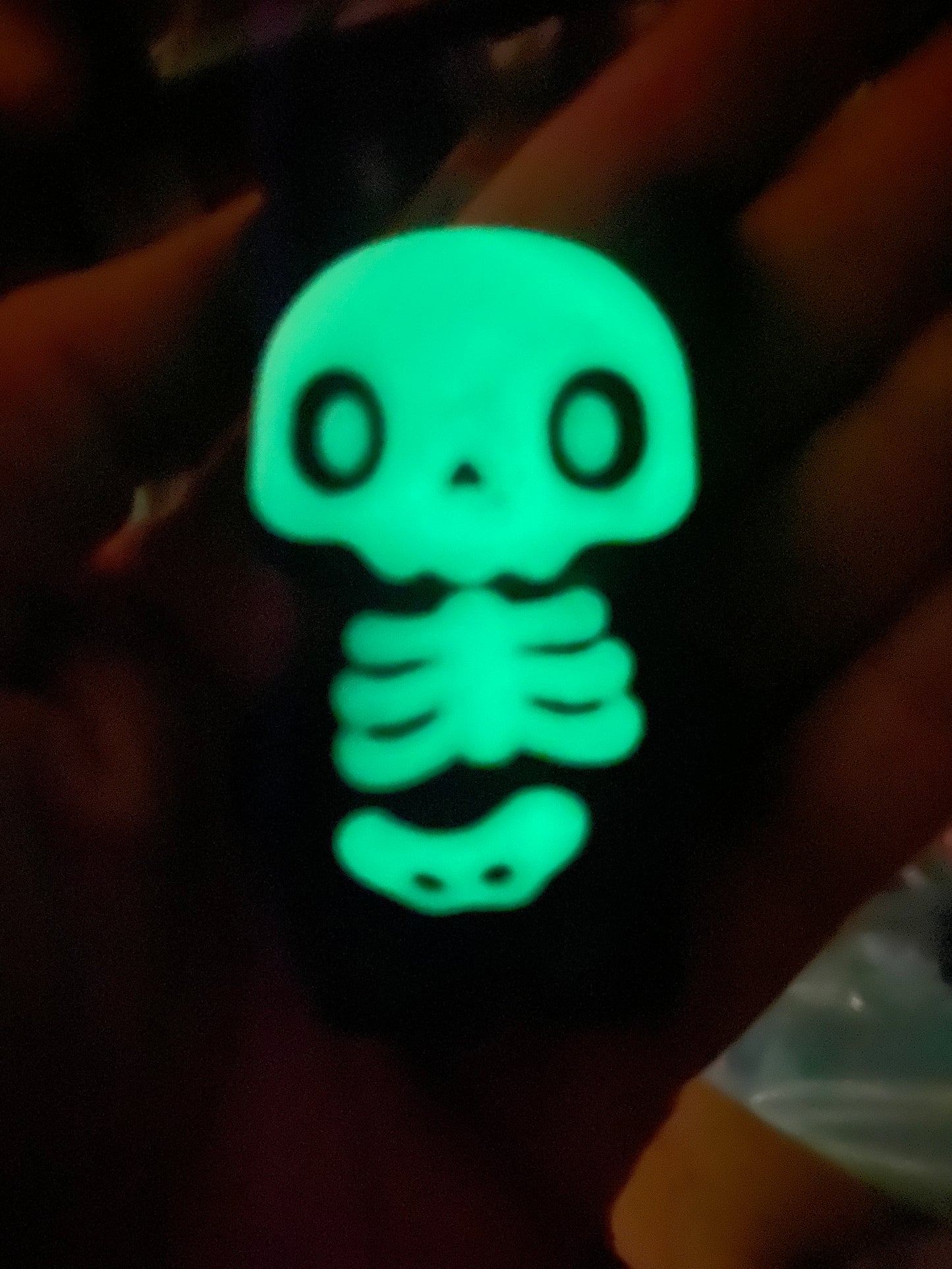 Skelly Pocket Pal